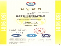 ISO 认证 英文版